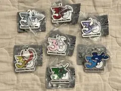ポケモン メタル チャーム カントー ジョウト ホウエン コンプリート
