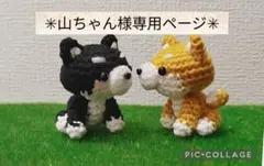 ✳山ちゃん様専用ページ✳