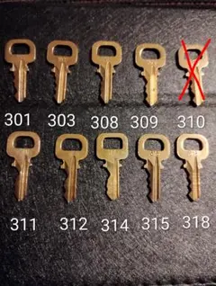 ルイヴィトン キーのみ 1本 パドロック 南京錠 カデナ