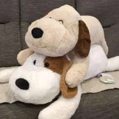 まった〜り ろんぐわんちゃん　ぽち・まろろん　全２種セット　ぬいぐるみのサムネイル