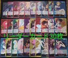 ワンピース カードゲーム リーダーカード30枚セット
