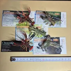 海洋堂 ユージン アメリカザリガニ ニホンザリガニ　ガザミ