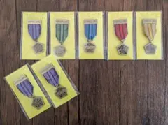 嵐　THE DIGITALIAN 会場限定　5色セット