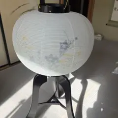 Item thumbnail for item bbac0044-1b93-4fca-bf50-53bfe4464629