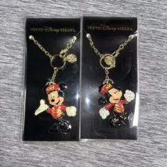 東京ディズニーリゾート