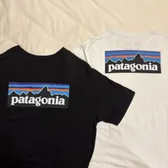レア2点】信越五岳patagonia Tシャツ - メルカリ