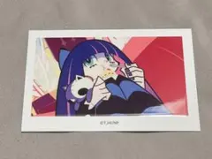 パンスト スイパラ カード ストッキング