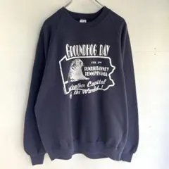 90s アメリカ製 JERZEES プリントスウェット ラグランスリーブ 古着