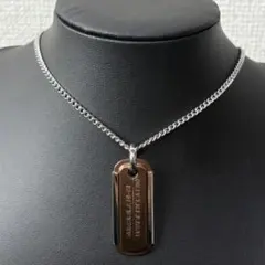 極美品 DIESEL STEEL ロングネックレス プレート ロゴ 箱付きのサムネイル