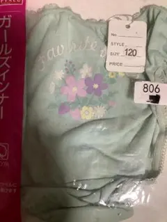 必ずプロフィール拝見女の子用ショーツ 5点 (サイズ120, 100, 110)