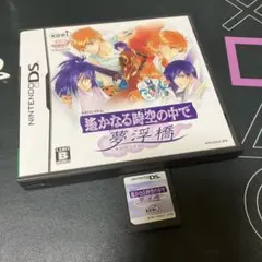 12.6.金⭐️Nintendo DSソフト⭐️