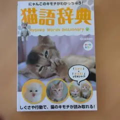 Item thumbnail for item 400d258b-8bdd-4bb9-b4d9-51c5298f2c27