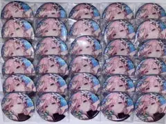 プロセカ　巡音ルカ　グリ缶　10B