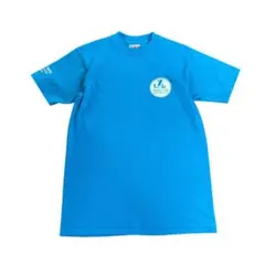 90s USA製 Tシャツ　Hanes製 ライトブルー　M 古着　8#b