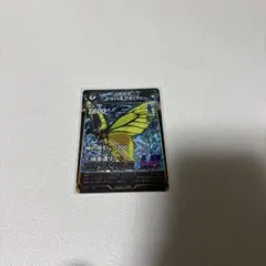 蟲神器　ゴクラクトリバネアゲハ