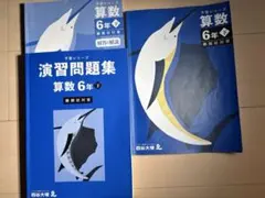 演習問題集と予習シリーズテキスト算数 6年 難関校対策　下巻セット