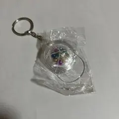 Item thumbnail for item 50e21a6c-7876-498a-9079-c9ebe6e104e7