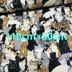 Item thumbnail for item c37d647f-76e4-4be7-b123-64d29ca87f7a