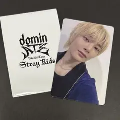 straykids アイエン dominATE 1万円特典トレカ