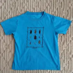 mont-bell ウィックロン Tシャツ 昆虫　140 130のサムネイル