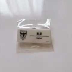 にじさんじ フェス ネームバッジ 魁星