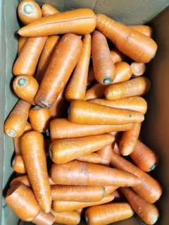 九州産訳あり人参。サイズはまかせ 。総重量10kg。 送料値段が上がり