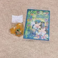 ディズニー 七夕DAYS 2017 ポストカード＆キーホルダー