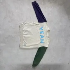 オフィシャルチームトレーナー