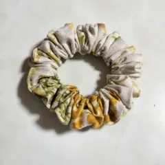 슈스쿠스 미모사