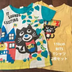 Item thumbnail for item 55ab0c91-a712-4645-9d13-bdf799ce53d2