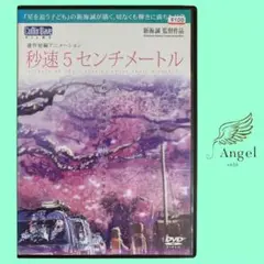 DVD 秒速5センチメートル ラスト品！！！！