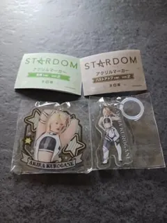 STARDOMガチャガチャvol.2鉄アキラ選手セット