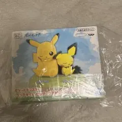 新品未開封　ポケットモンスター　くつろぎタイム　ピカチュウ＆ピチュー　フィギュア