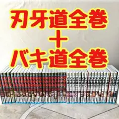 2026年最新】バキ道 全巻の人気アイテム - メルカリ