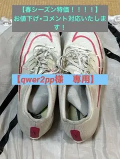 Nike Air zoom MAX Fly 25.5cm【商品説明をご覧下さい】