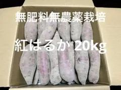 6*9様 無肥料無農薬栽培サツマイモ20kg