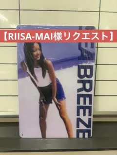 【RIISA-MAI様リクエスト】ブリキ看板3点