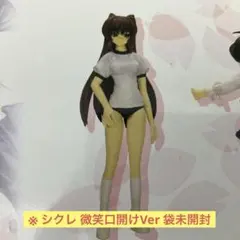 2025年最新】toheart2 向坂環フィギュアの人気アイテム - メルカリ