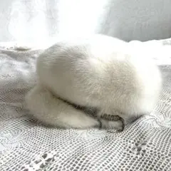 キャスケット白