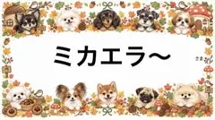 専用