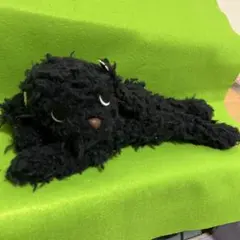 ㊸　モフくた黒プードル