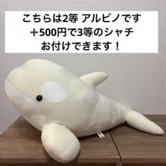 名古屋港水族館 シャチくじ 2等 アルビノのサムネイル