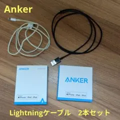 Lightningケーブル 2本セット