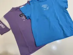 Item thumbnail for item 144d3e28-6aa9-4934-925d-4692be283375