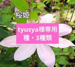 A.♡tyusya様 リクエスト 3点 まとめ商品