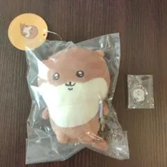 ナガノ　セット売り