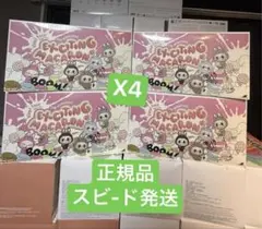 正規品ラブブ マカロン EXCITING MACARON アソート シュリンク付