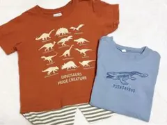 恐竜、モササウルスTシャツ3枚セット 110サイズ