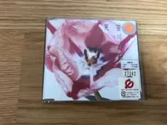 音楽　ミュージック　CD  アーティスト　グッズ　貴重　レンタル落ち　笹川美和