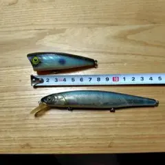 2026年最新】トップウォーターの人気アイテム - メルカリ